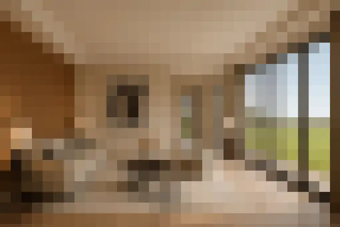 Jacobus de Waalstraat 12 Lamswaarde thumbnail 9