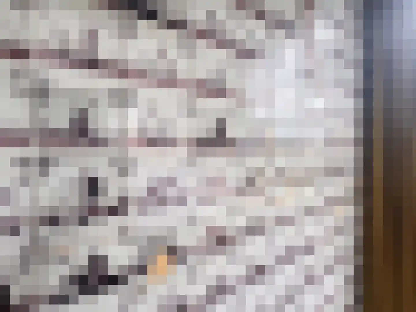 Jacobus de Waalstraat 8 Lamswaarde thumbnail 12