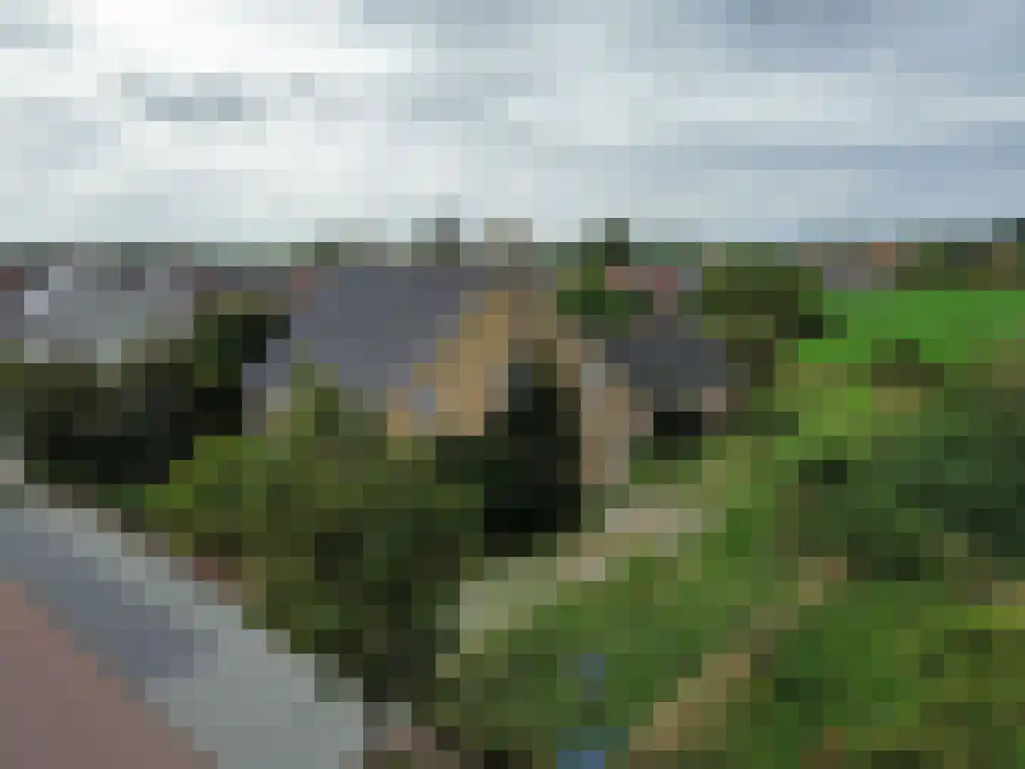 Jacobus de Waalstraat 8 Lamswaarde thumbnail 17