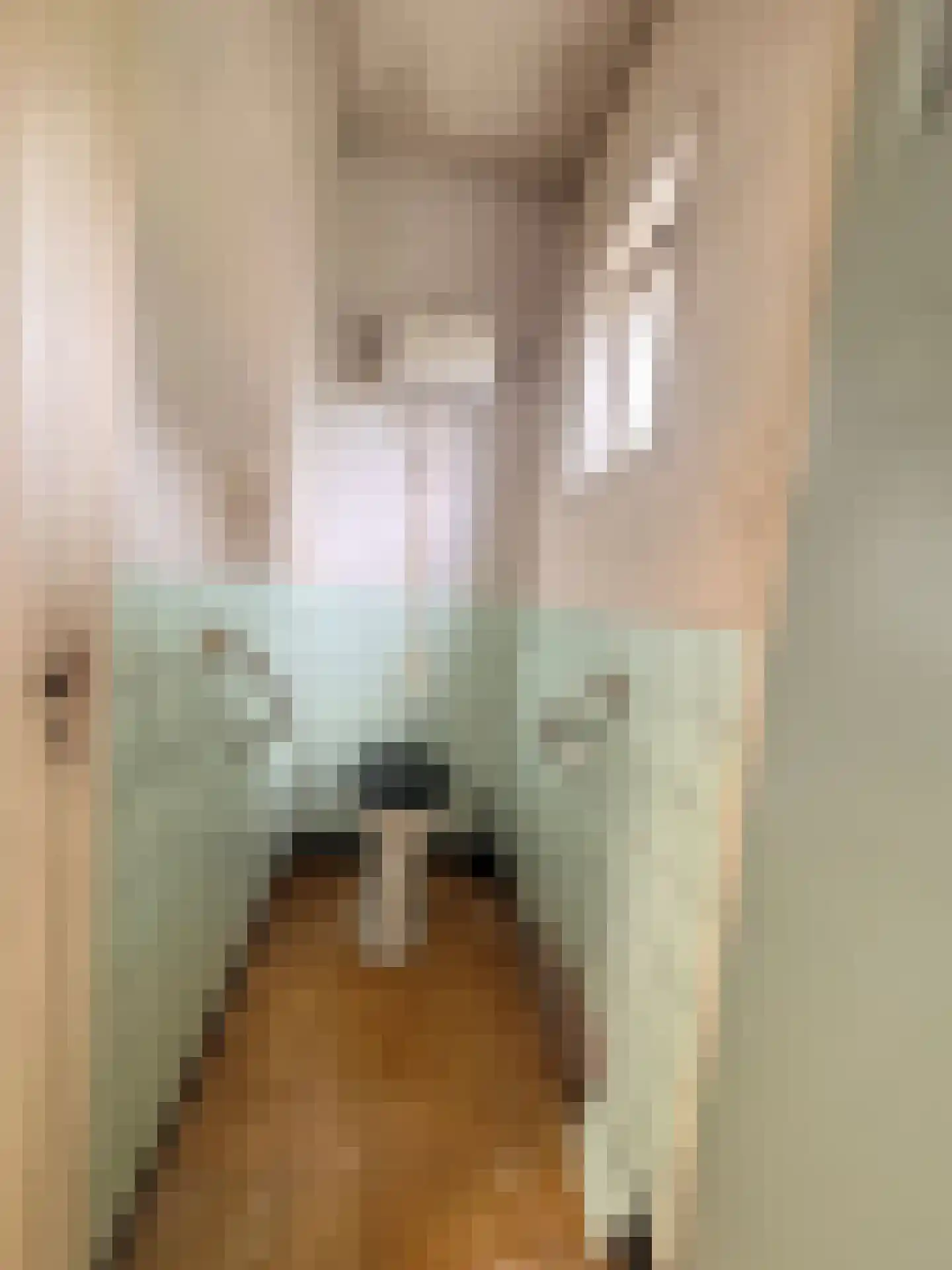 Jacobus de Waalstraat 8 Lamswaarde thumbnail 20