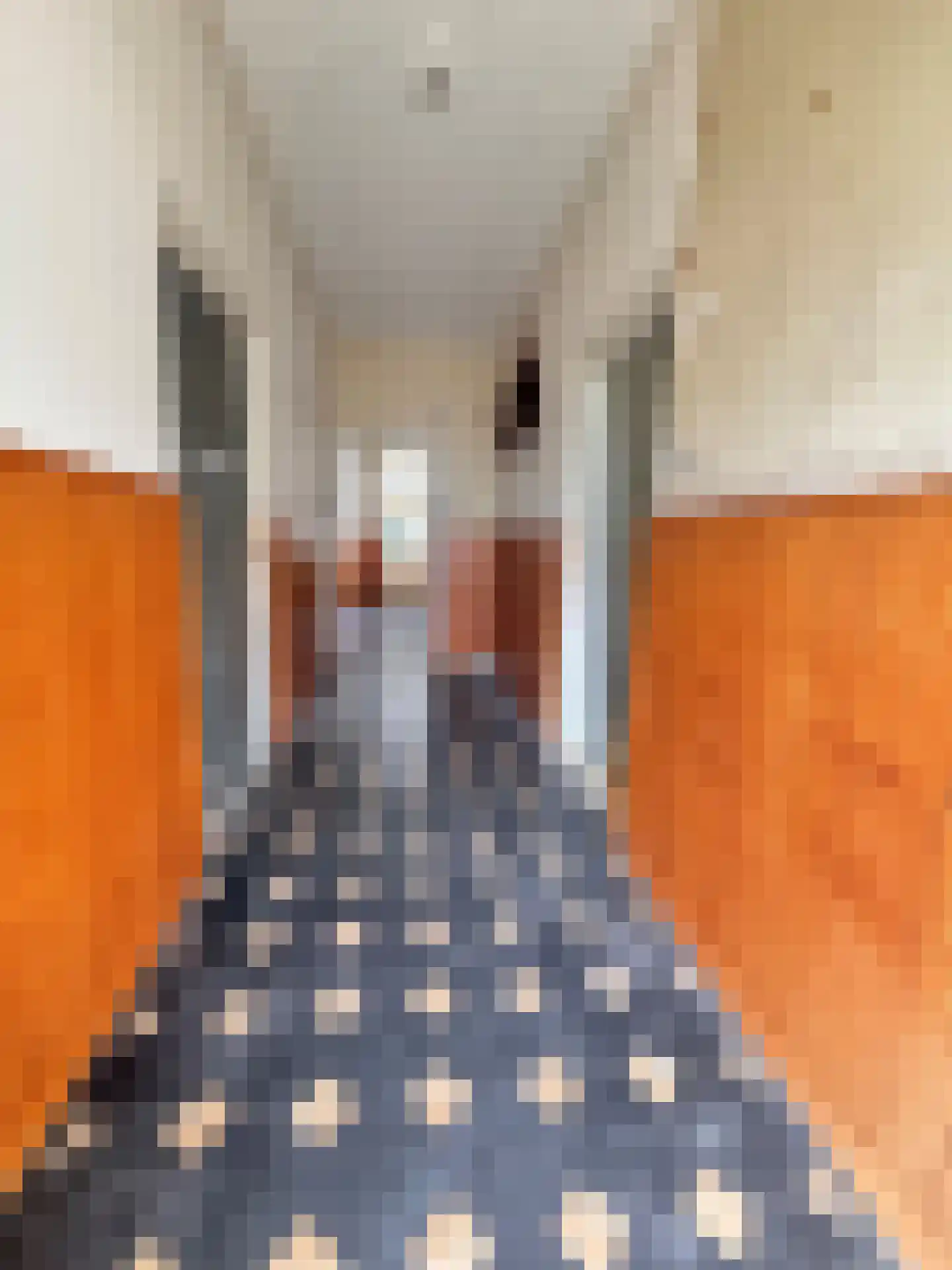 Jacobus de Waalstraat 8 Lamswaarde thumbnail 27