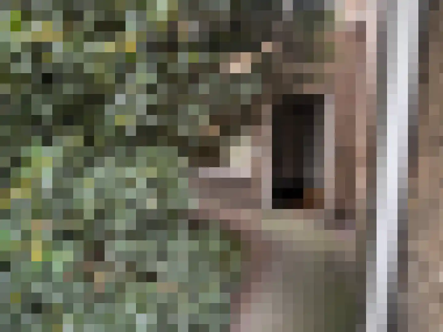 Jacobus de Waalstraat 8 Lamswaarde thumbnail 39