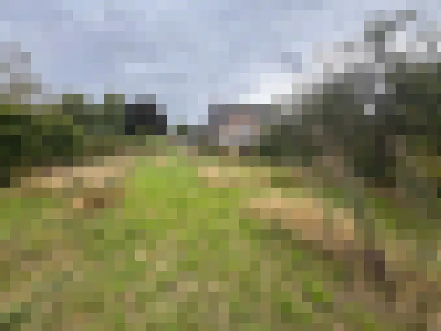 Jacobus de Waalstraat 8 Lamswaarde thumbnail 45