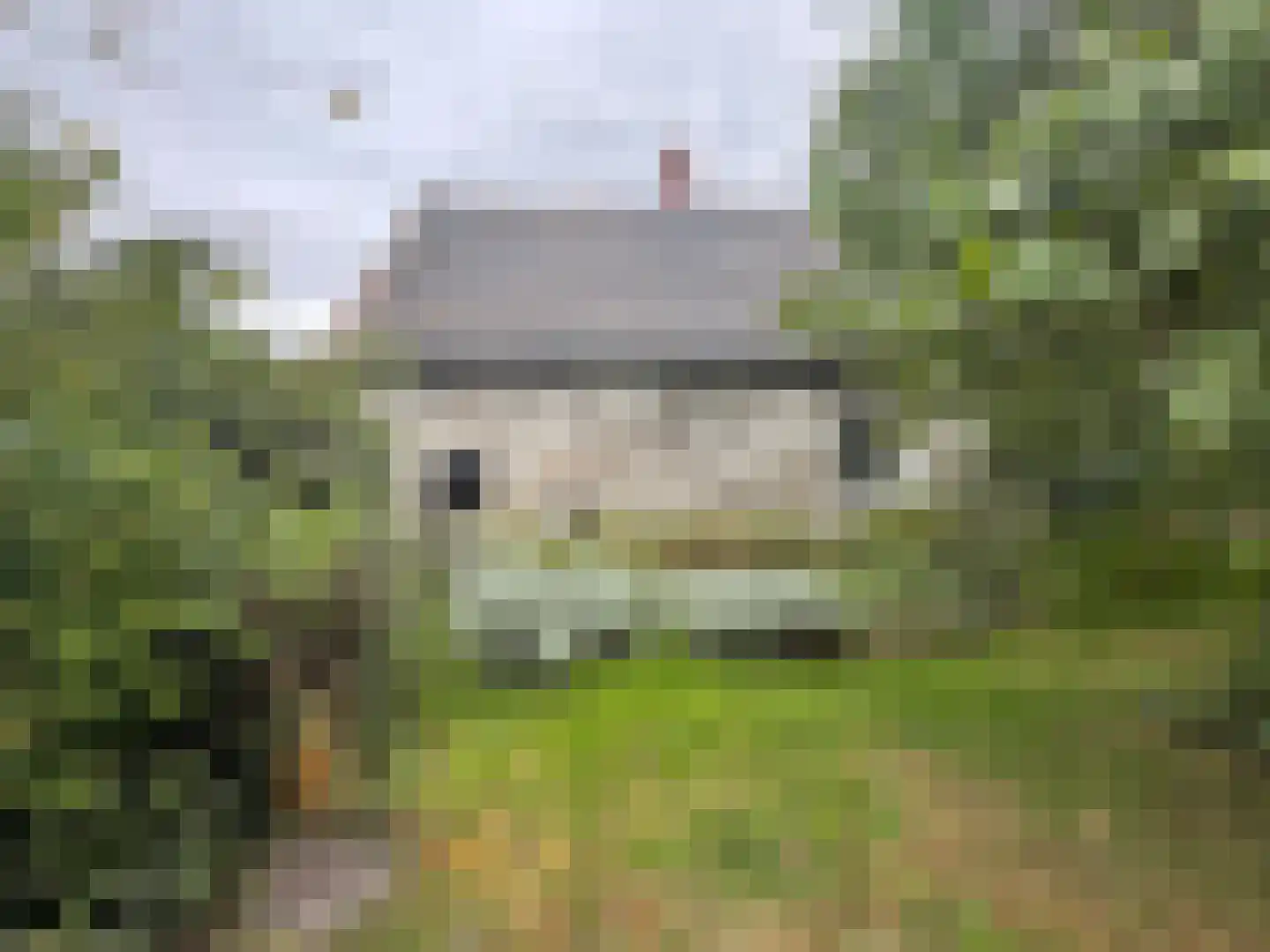 Jacobus de Waalstraat 8 Lamswaarde thumbnail 47