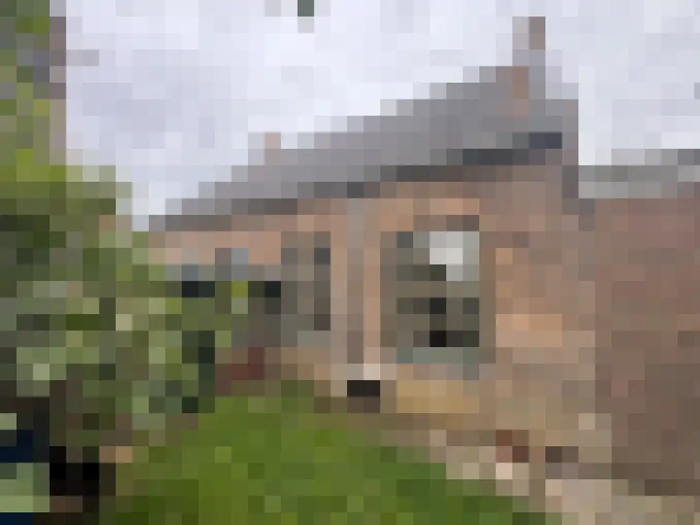 Jacobus de Waalstraat 8 Lamswaarde thumbnail 48