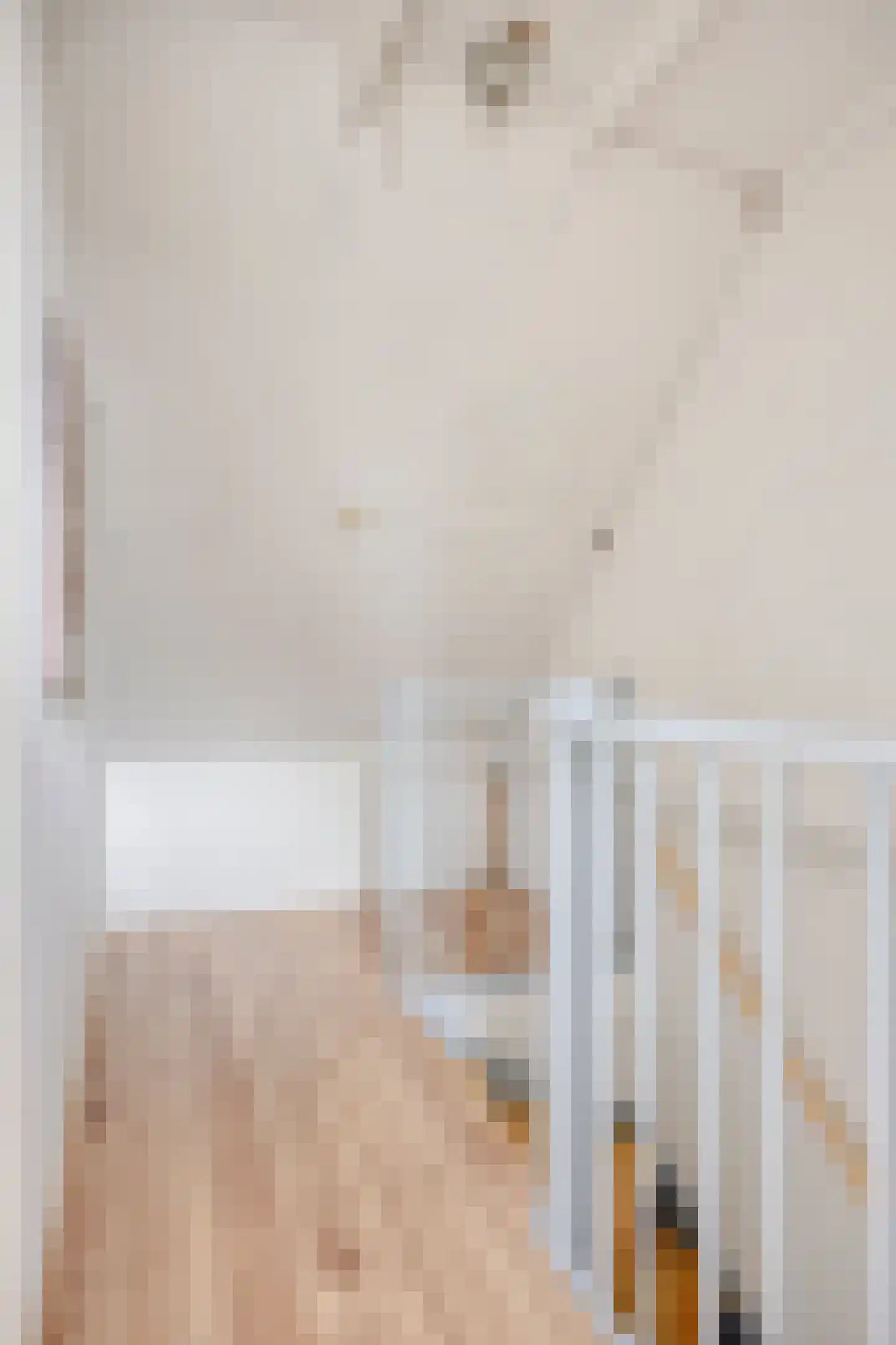 Jacobus Deckersstraat 111 Eindhoven thumbnail 24