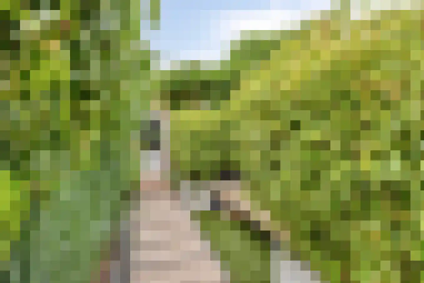Jacobus Deckersstraat 111 Eindhoven thumbnail 34