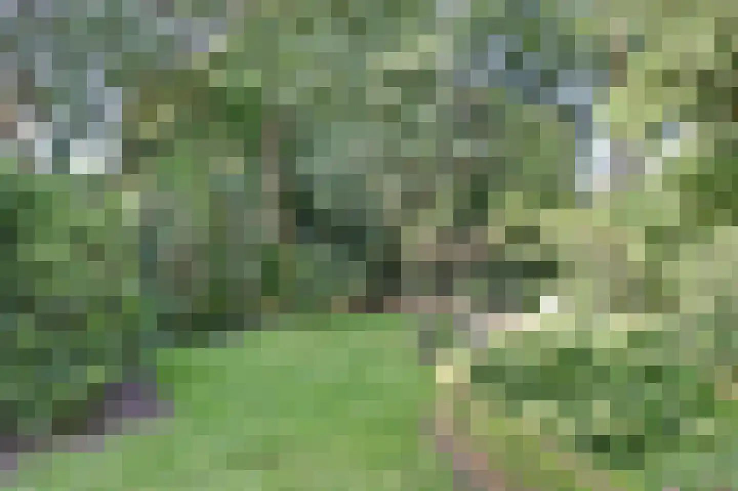 Jacobus Pennweg 13 Hilversum thumbnail 48