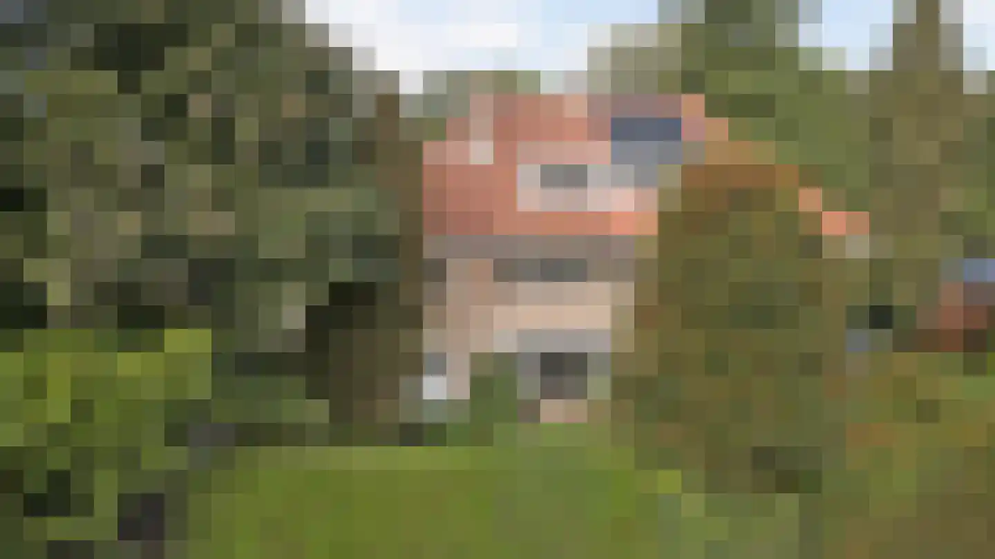 Jacobus Pennweg 13 Hilversum thumbnail 55