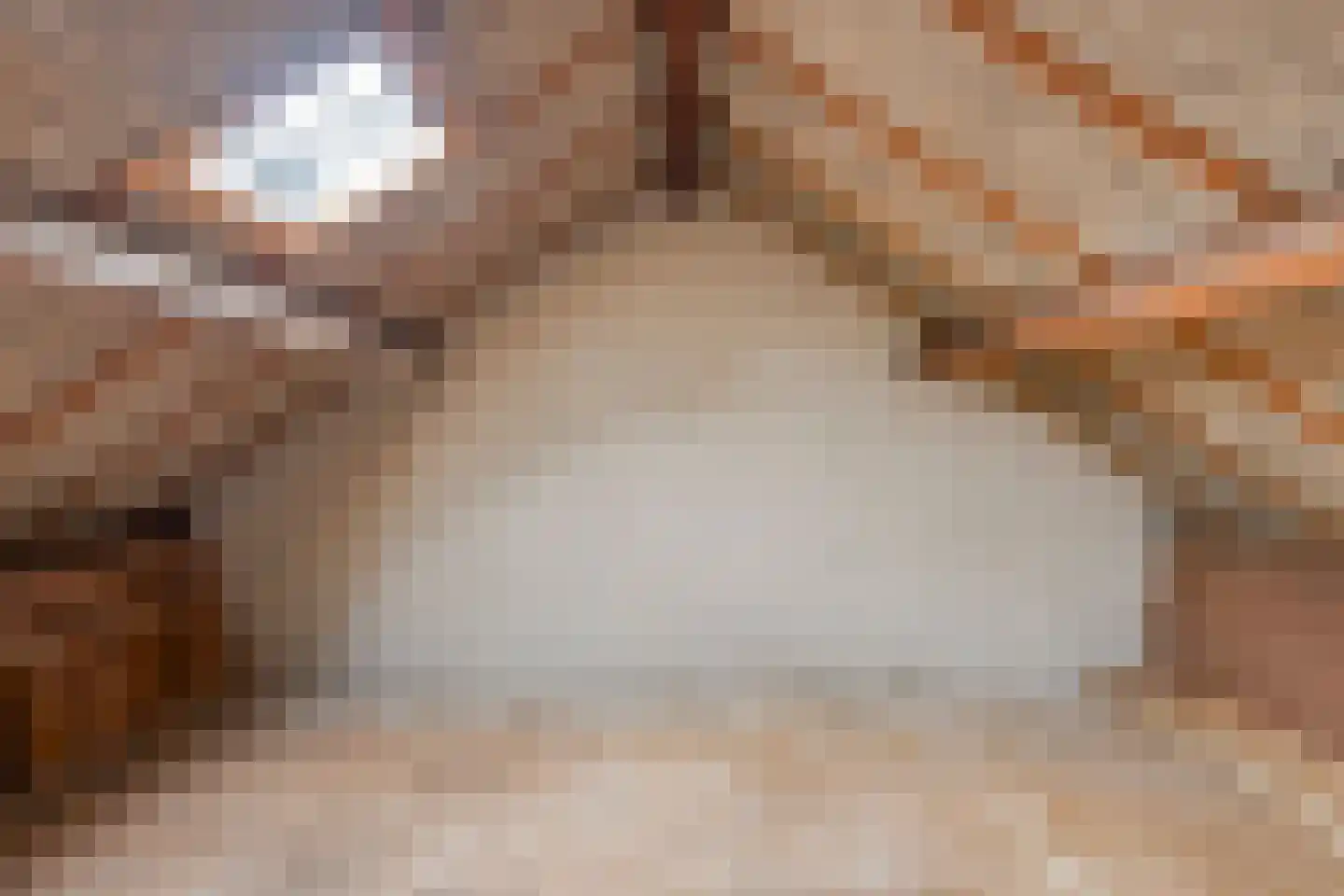 Jacobus Poelsstraat 19 Oss thumbnail 13
