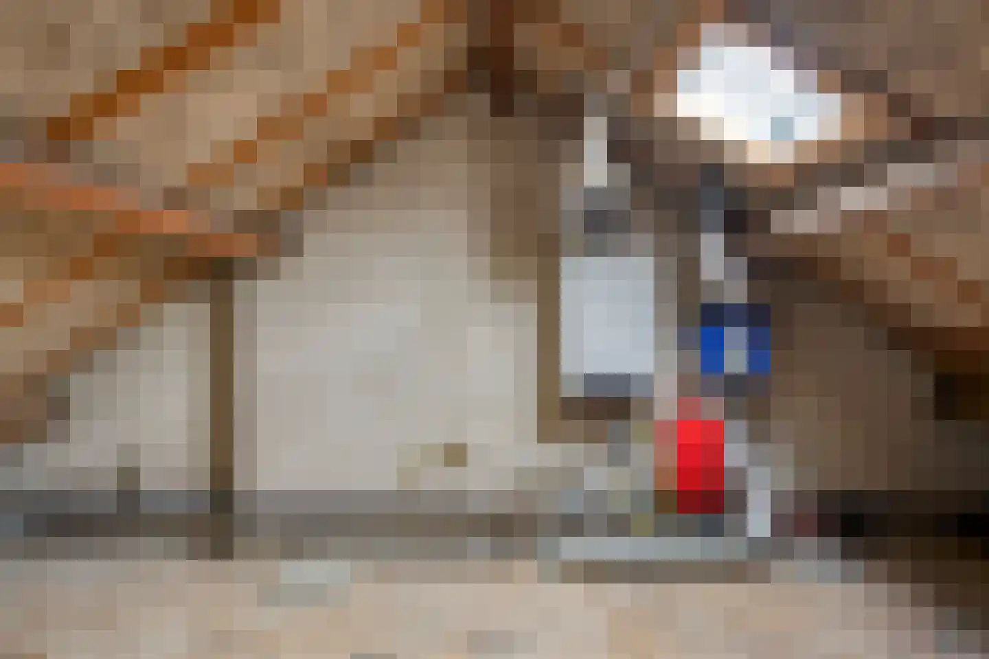 Jacobus Poelsstraat 19 Oss thumbnail 14
