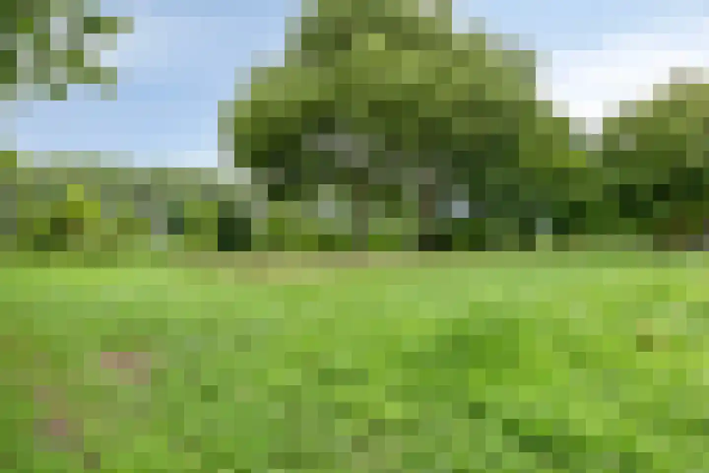 Jacobus Poelsstraat 21 Oss thumbnail 25