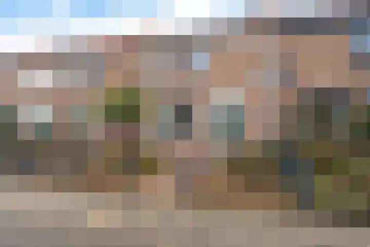 Jacobus Poelsstraat 22 Oss thumbnail 5