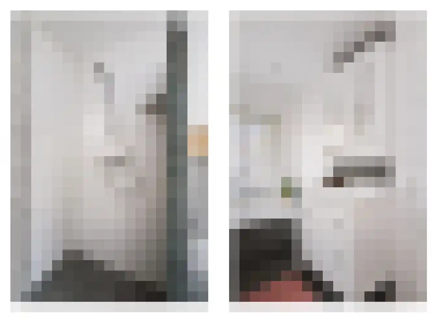 Jacobus Reviusstraat 17 Deventer thumbnail 22