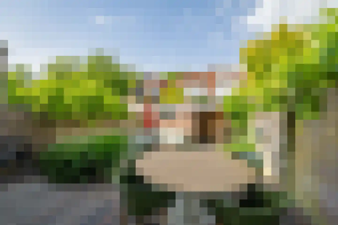 Jacobus Reviusstraat 17 Deventer thumbnail 38