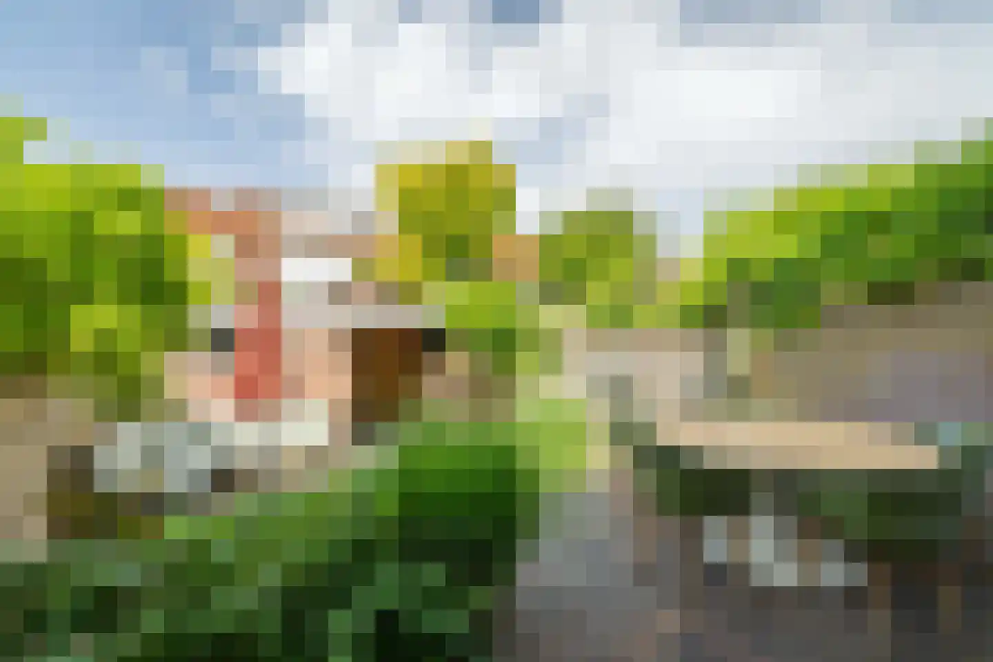 Jacobus Reviusstraat 17 Deventer thumbnail 40