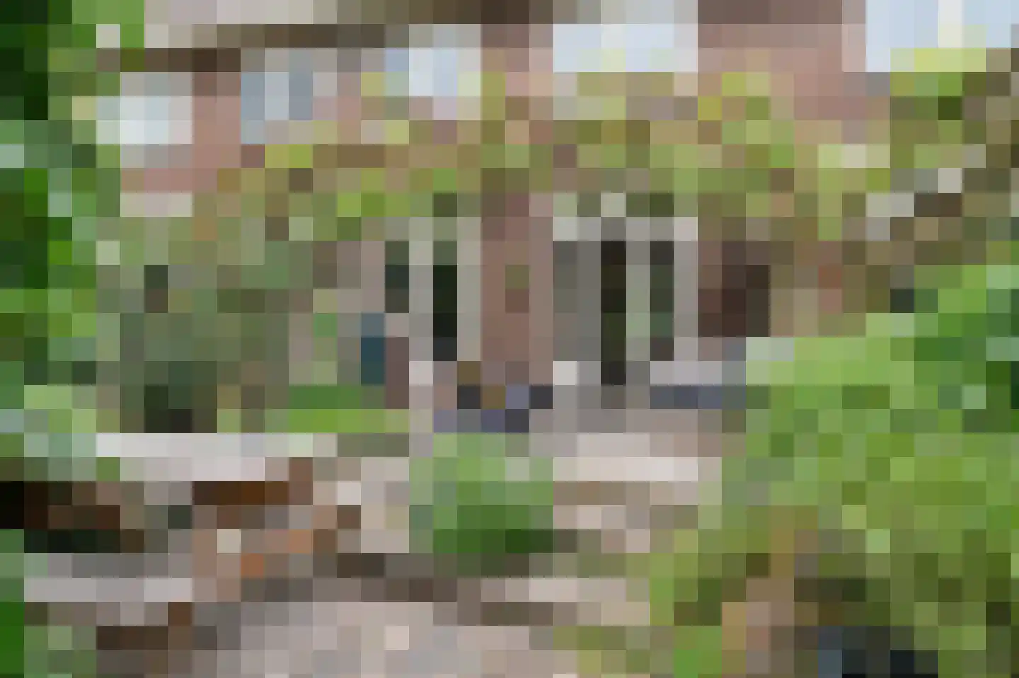 Jacobus Reviusstraat 18 Deventer thumbnail 31