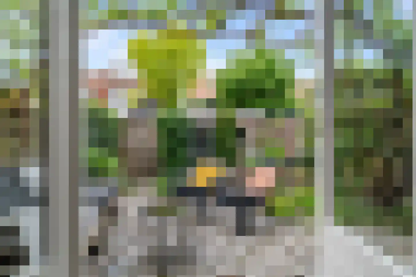 Jacobus Reviusstraat 18 Deventer thumbnail 33