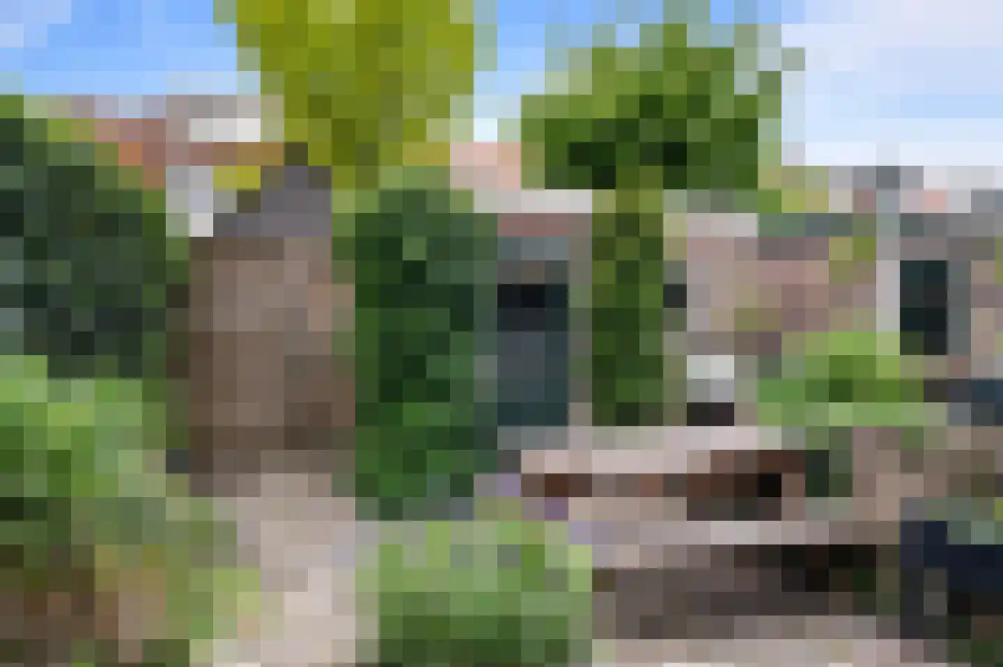 Jacobus Reviusstraat 18 Deventer thumbnail 35