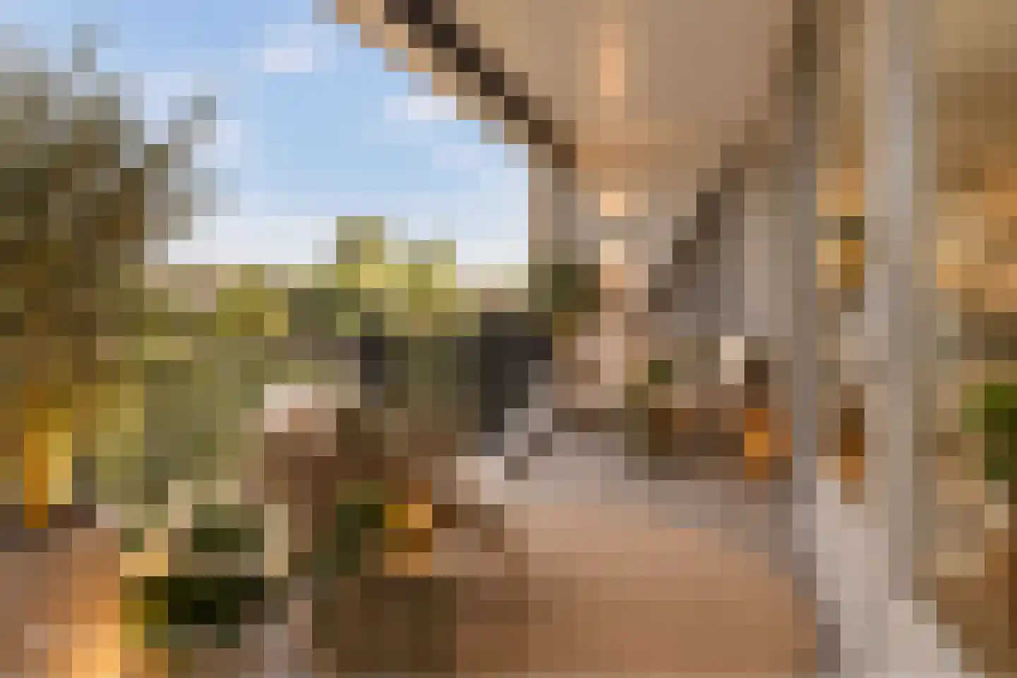 Jacobus van de Meijdenstraat 1 J Drunen thumbnail 12