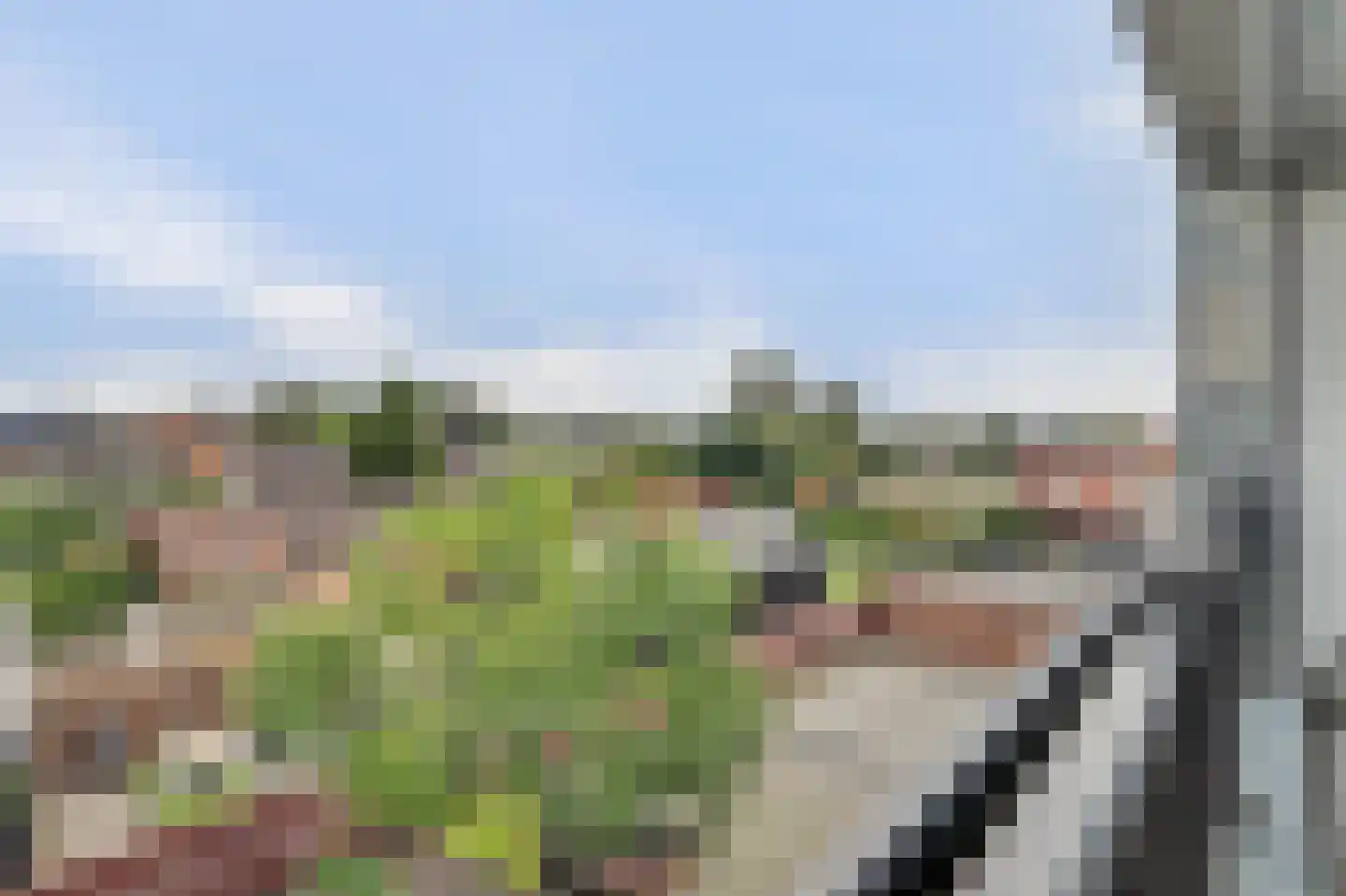 Jacobus van de Meijdenstraat 1 J Drunen thumbnail 15