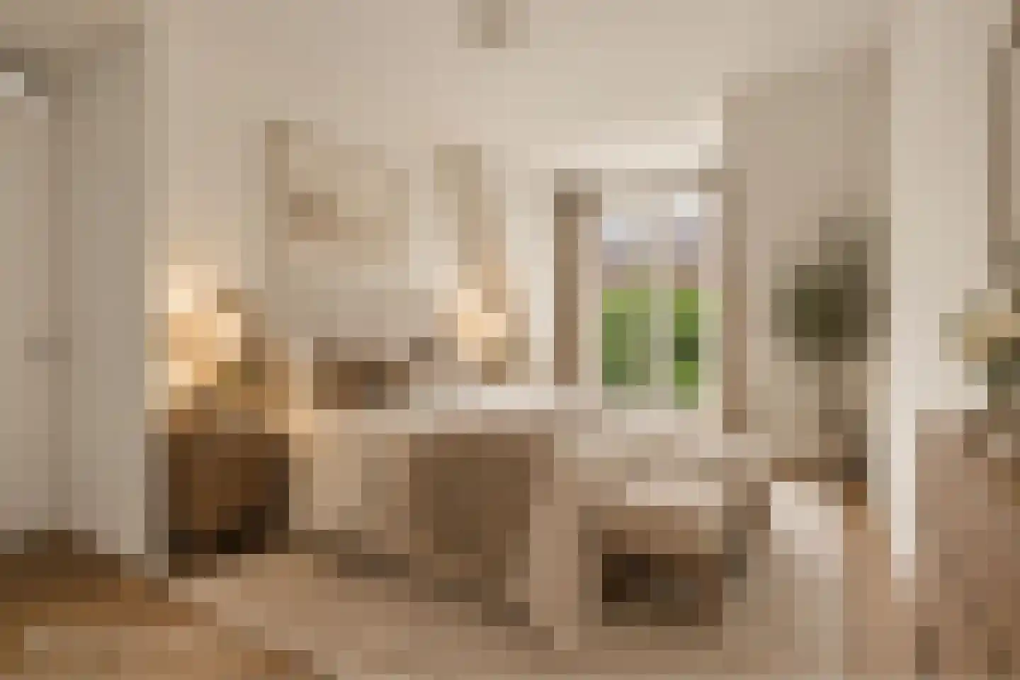 Jacobus van de Meijdenstraat 1 J Drunen thumbnail 18