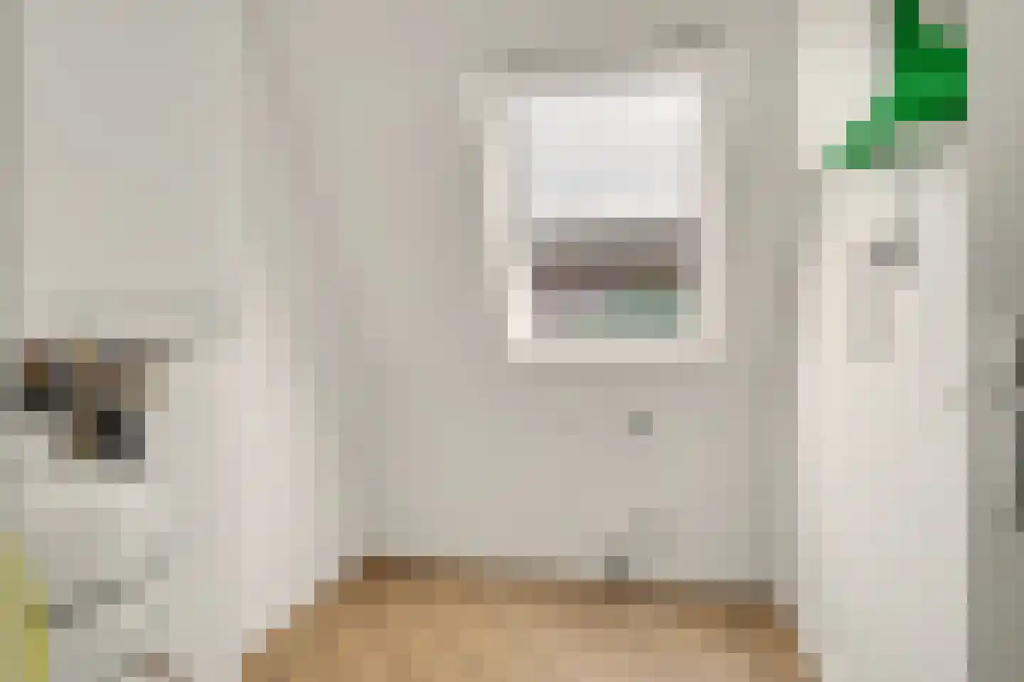 Jacobus van de Meijdenstraat 1 J Drunen thumbnail 27