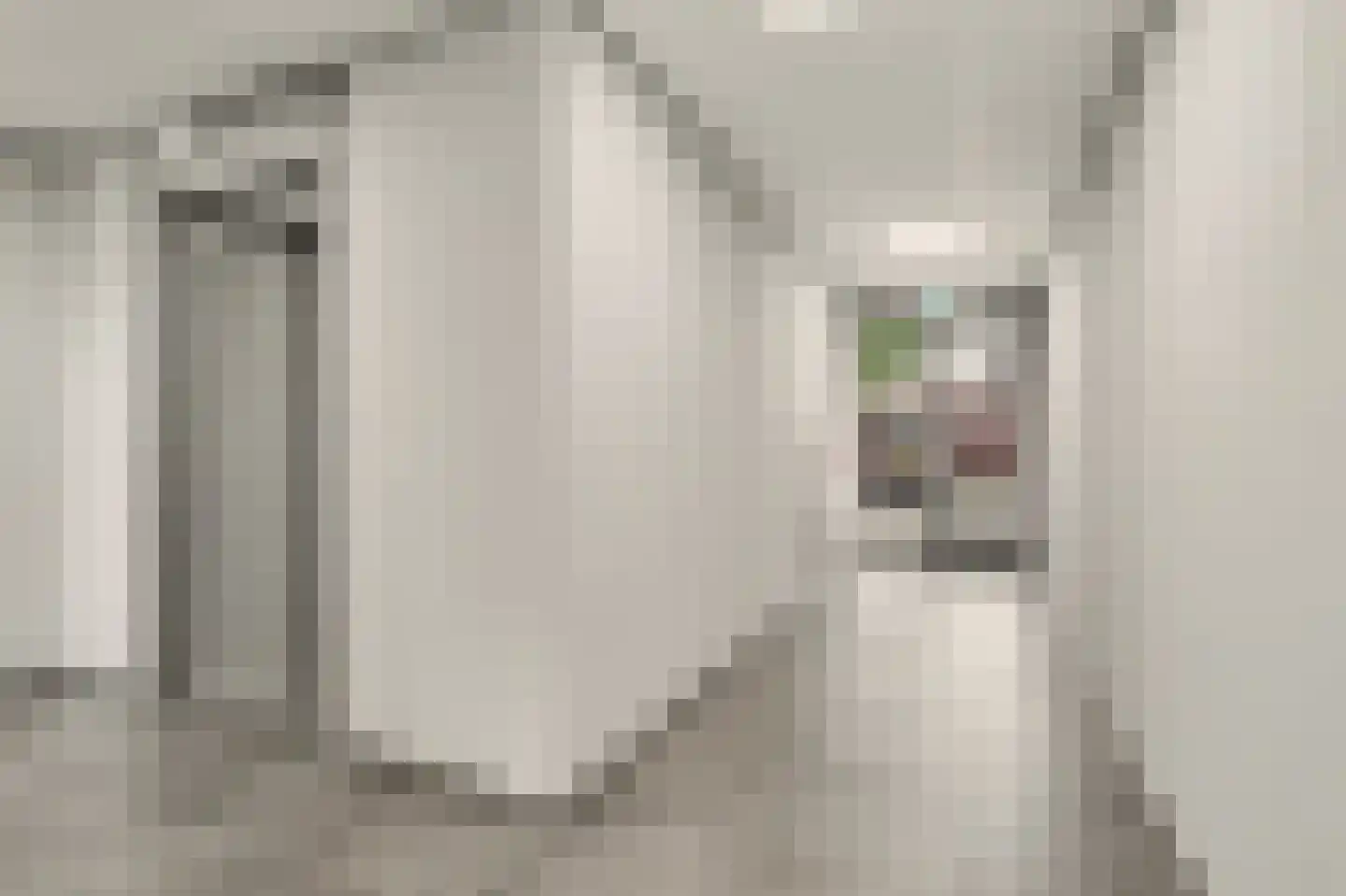 Jacobus van de Meijdenstraat 1 J Drunen thumbnail 31