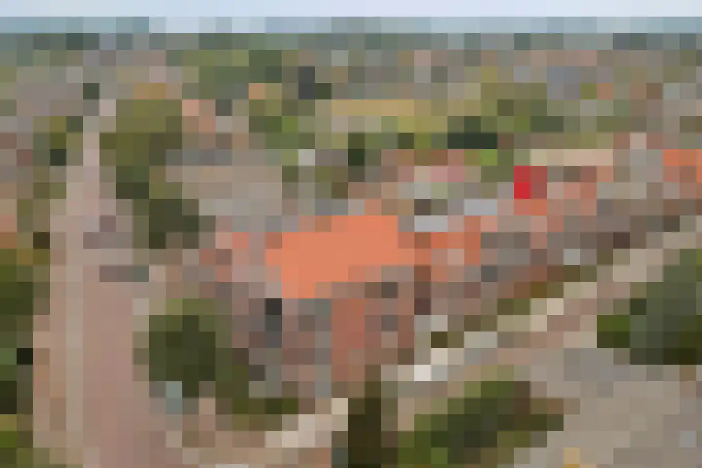 Jacobus van de Meijdenstraat 1 J Drunen thumbnail 46