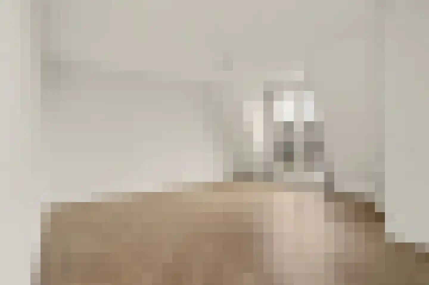Jacobus van de Meijdenstraat 1 J Drunen thumbnail 5