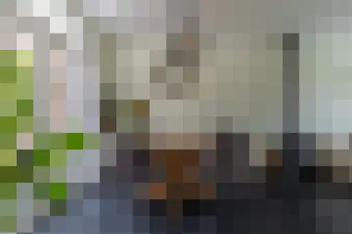 Jacobus van der Waeyenstraat 16 Koudum thumbnail 11