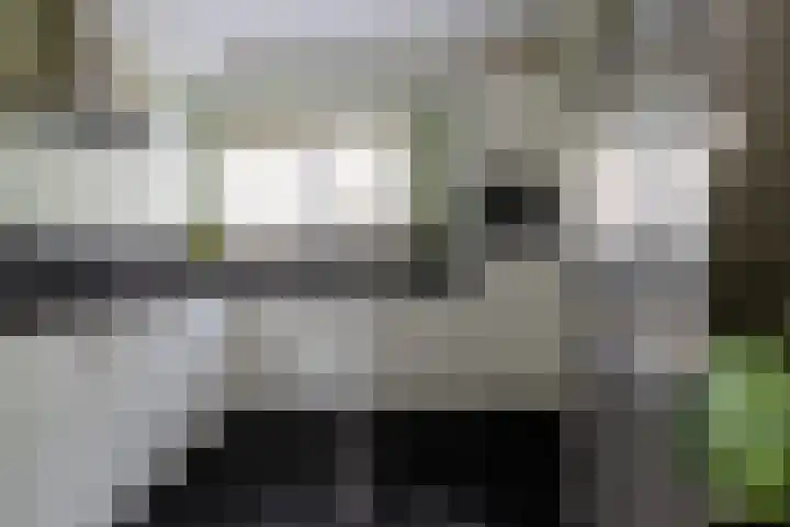 Jacobus van der Waeyenstraat 16 Koudum thumbnail 13
