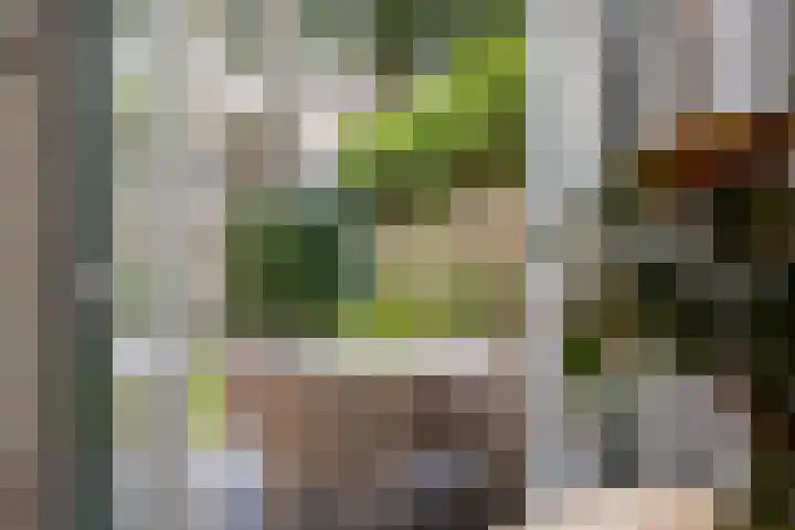 Jacobus van der Waeyenstraat 16 Koudum thumbnail 15