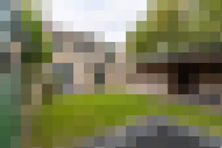 Jacobus van der Waeyenstraat 16 Koudum thumbnail 31