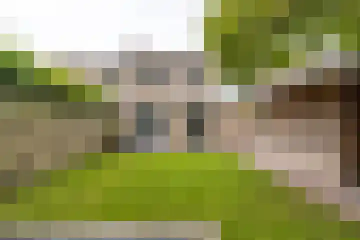 Jacobus van der Waeyenstraat 16 Koudum thumbnail 32