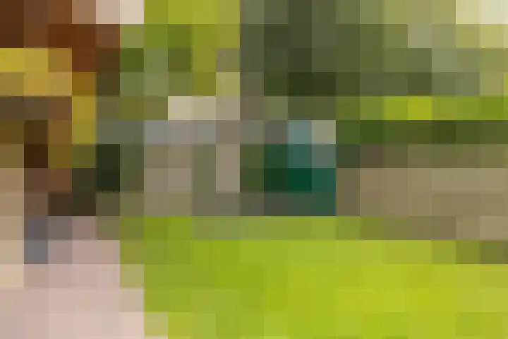 Jacobus van der Waeyenstraat 16 Koudum thumbnail 35