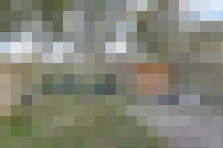 Jacobus van der Waeyenstraat 18 Koudum thumbnail 15