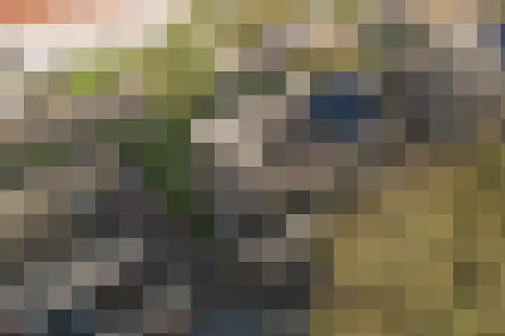 Jacobus van der Waeyenstraat 18 Koudum thumbnail 18