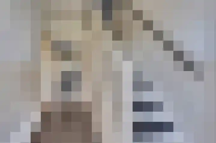 Jacobus van der Waeyenstraat 18 Koudum thumbnail 5