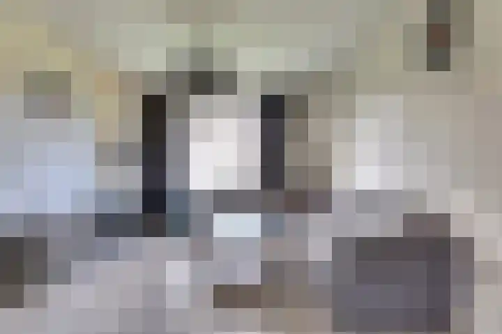 Jacobus van der Waeyenstraat 18 Koudum thumbnail 7
