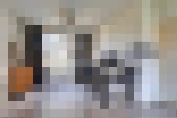 Jacobus van der Waeyenstraat 18 Koudum thumbnail 8