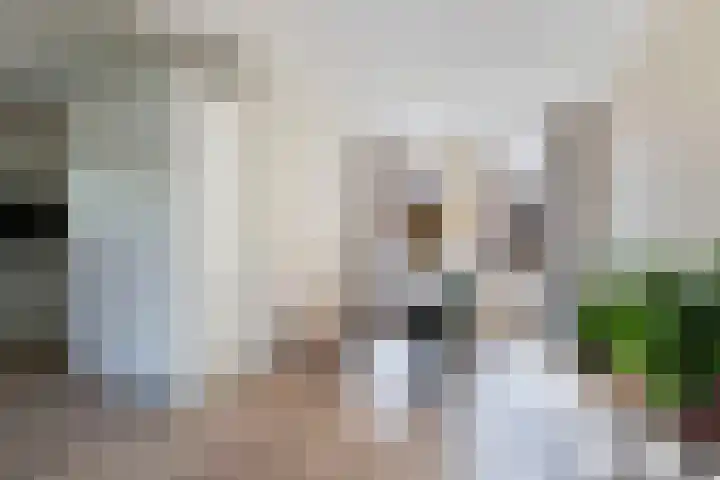 Jacobus van der Waeyenstraat 24 Koudum thumbnail 24