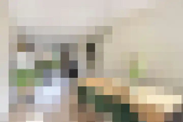 Jacobus van der Waeyenstraat 24 Koudum thumbnail 26