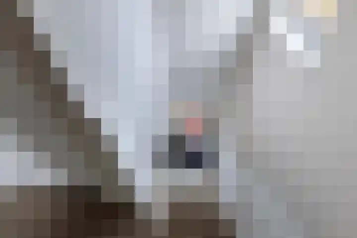 Jacobus van der Waeyenstraat 24 Koudum thumbnail 36