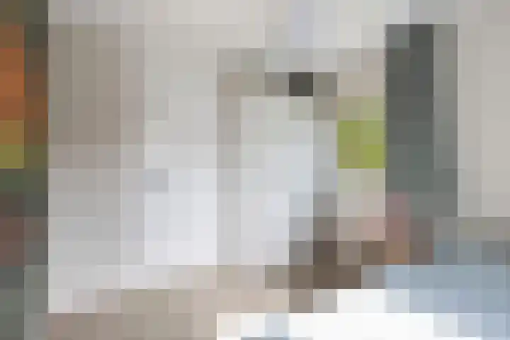 Jacobus van der Waeyenstraat 24 Koudum thumbnail 42