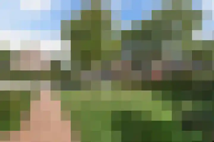 Jacobus van der Waeyenstraat 24 Koudum thumbnail 5