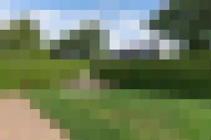 Jacobus van der Waeyenstraat 24 Koudum thumbnail 53