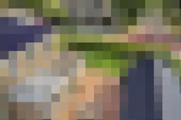 Jacobus van der Waeyenstraat 24 Koudum thumbnail 63