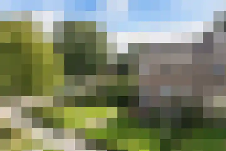 Jacobus van der Waeyenstraat 24 Koudum thumbnail 8