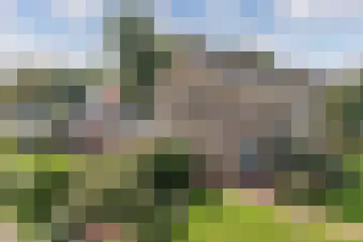Jacobus van der Waeyenstraat 24 Koudum thumbnail 9